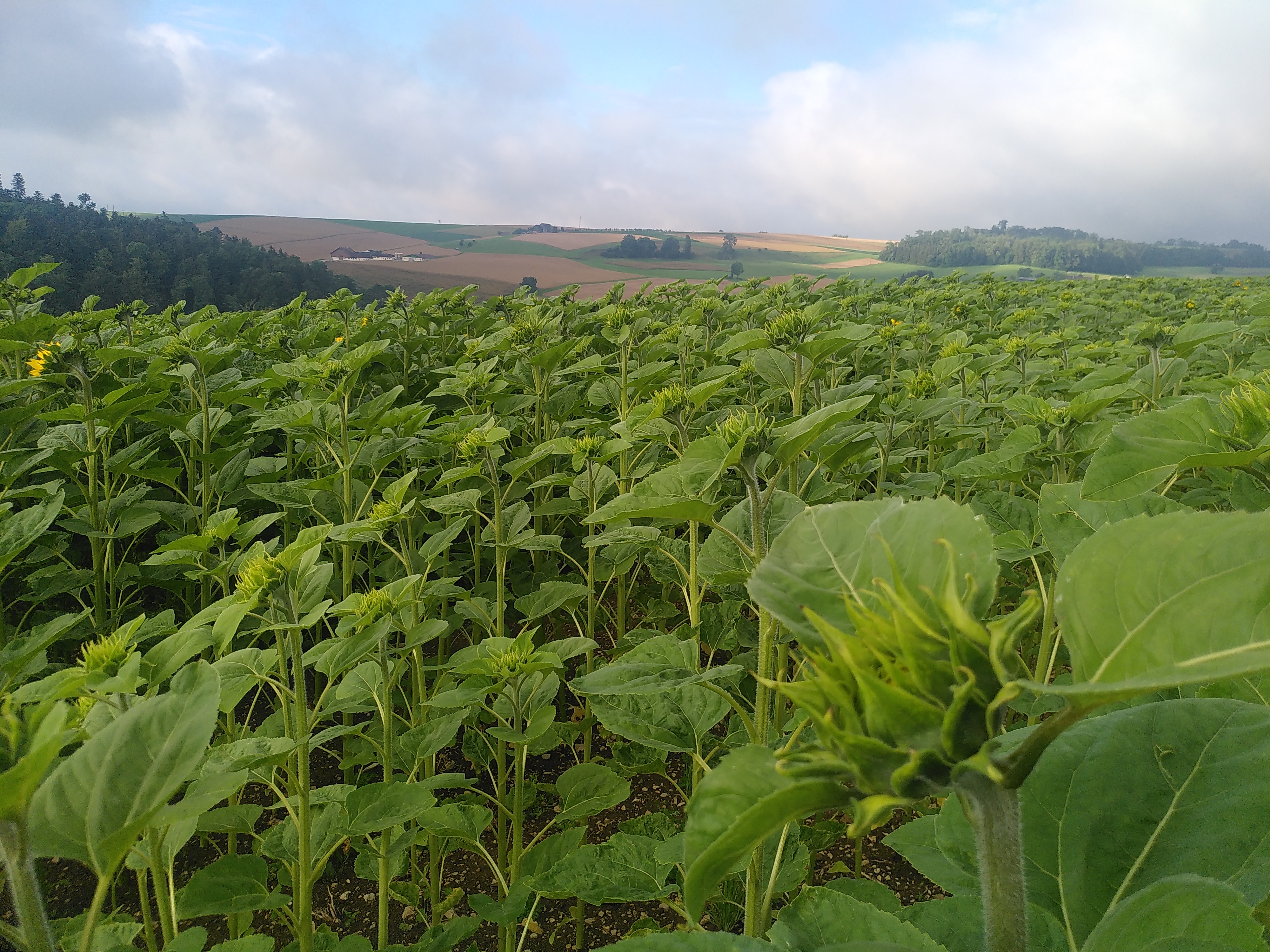 Warten auf den Sommer